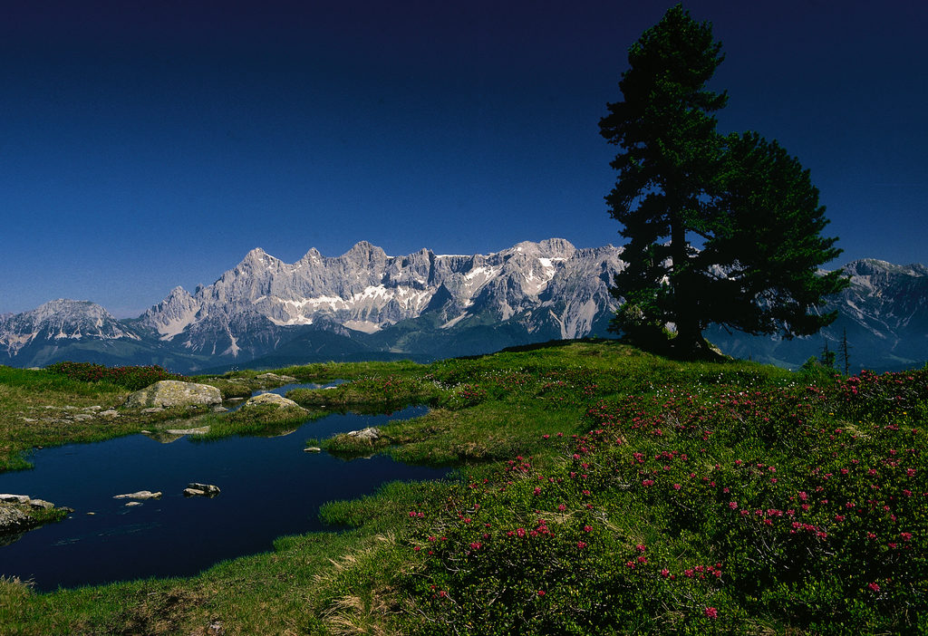 Blick auf das Dachsteinmassiv / von der Reiteralm bei Schladming Steiermark © Österreich Werbung, Fotograf: Lamm